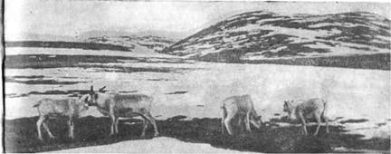 Холмы